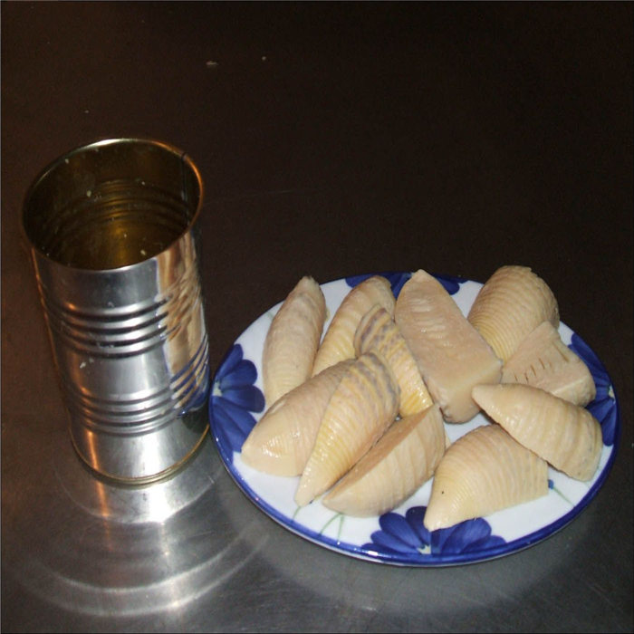 canned bamboo shoot  slices